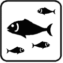 Fish Icon