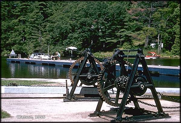 Crabs at Davis Lock