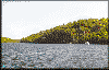Morton Bay