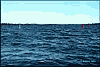 Buoys