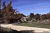 Log House