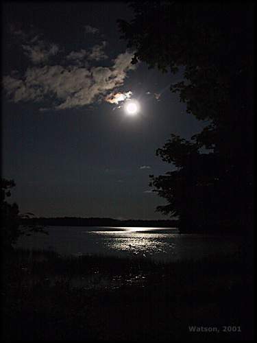 <img:http://www.rideau-info.com/canal/images/places/moonlight.jpg>