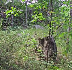 Jones Falls Cemetery