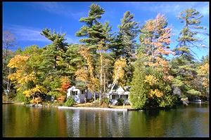 cottage picture