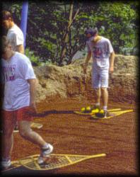 septic - peat leaching