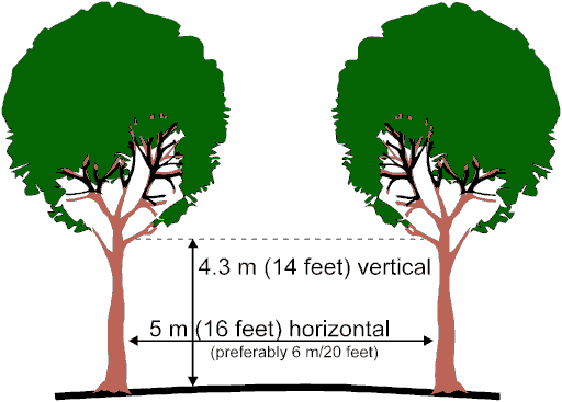 Metres To Feet. 6 metres (20 feet) and 4.3