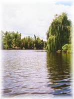 Mahogany Habour