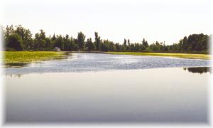 Kemptville Creek
