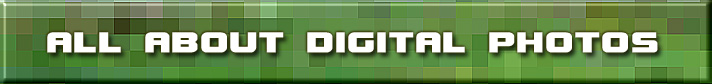 All About Digital Photos