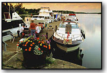 Dock Picnic by Mike Goldstein