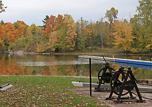 Upper Brewers - photo by Ken W. Watson