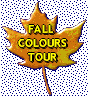 fall colour