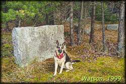 Stone in Hallday's Quarry