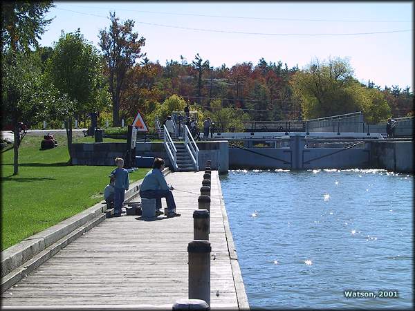Kingston Mills Fishing