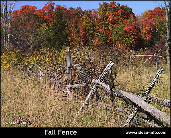 Fall Fence