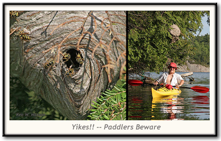 Yikes!! Paddlers Beware