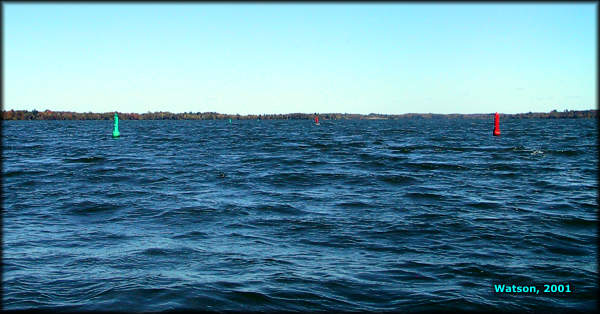 Buoys