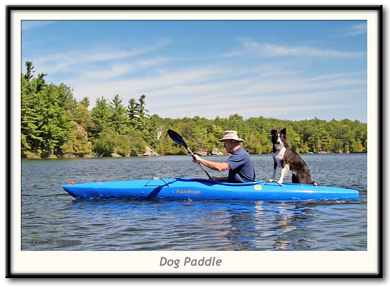 Dog Paddle