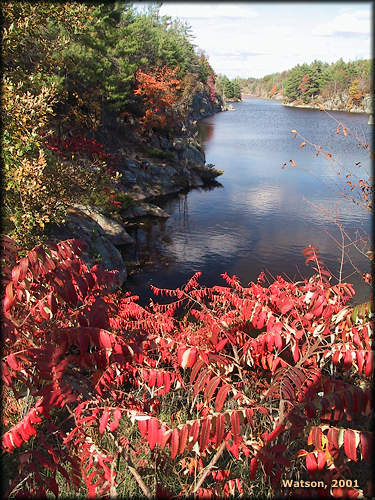 Fall Colours
