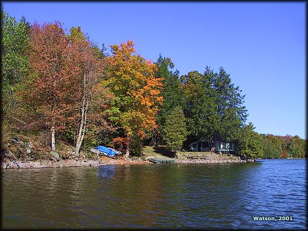 Fall Cottage