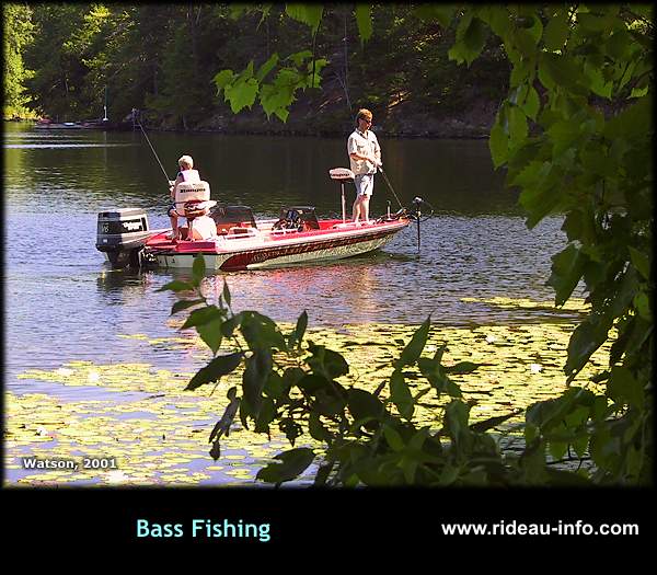 Bass Fishing