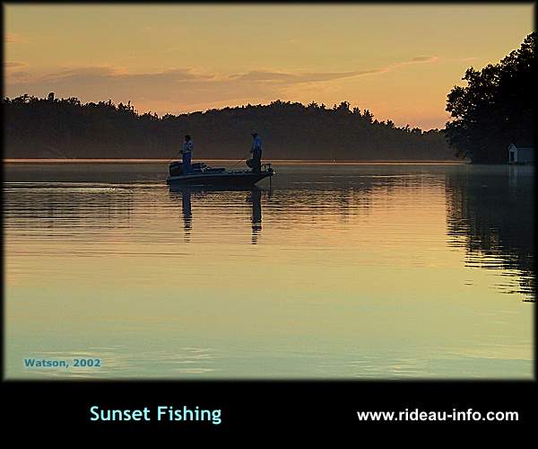 Sunset Fishing