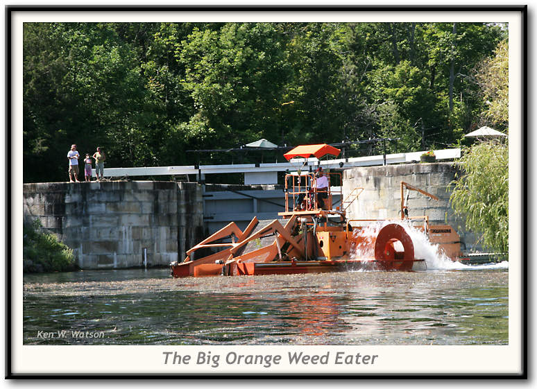 The Big Orange Weed Eater