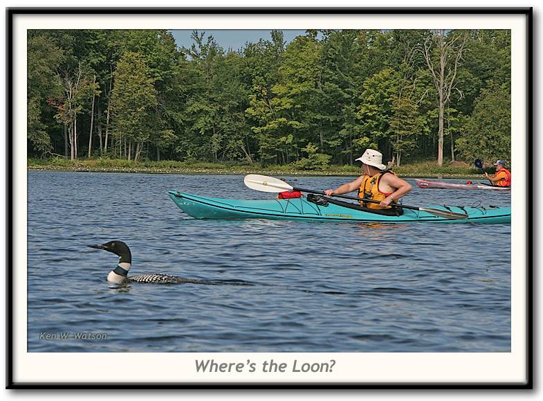Where's the Loon?