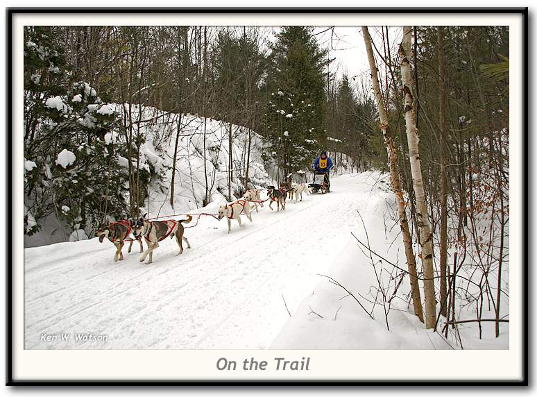 On the Trail