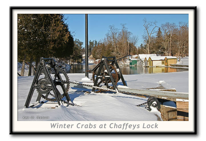 Winter Crabs at Chaffeys Lock