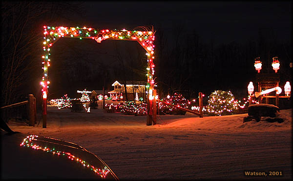 Vince's Christmas Lights
