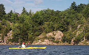 Shoreling Whitefish Lake