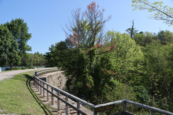 Great Stone Arch Dam at Jones Falls obscured by vegetation