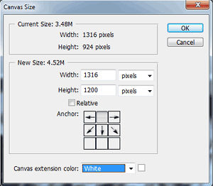 Photoshop Canvas Dialog